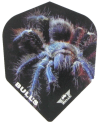 Bull's Animal 100 Tarantula Std.6