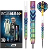 Red Dragon Gerwyn Price Ionic