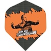 Bull's Player 100 Dirk van Duijvenbode Std.