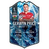 Bull's Ultimate Card Gerwyn Price 2025 | 37x25cm